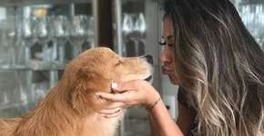 Mayra Cardi doa cão por não se adaptar ao piso e recebe críticas