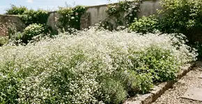 Foto: (Imagem sem texto alternativo disponivel ID [2766660])