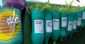 ‘Meninos do dedo verde’ dão novas cores à cidade de São Paulo