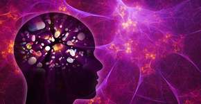 Foto: (synthetick/istock)