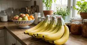 Foto: (Imagem sem texto alternativo disponivel ID [2750144])