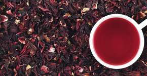 Foto: (Getty Images/iStockphoto)