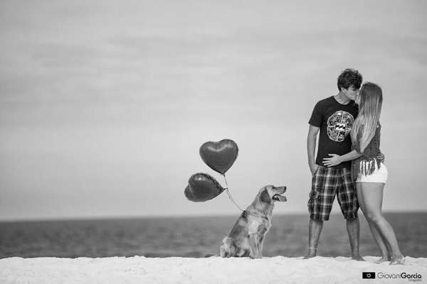 Cachorros de diferentes raças e tamanhos e compõe as fotos do book do casamento ou na própria cerimônia (imagem: Giovani Garcia) 
