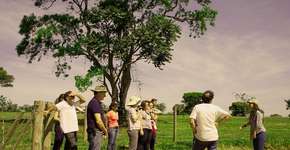 Brotas, no interior de SP, lança três roteiros de turismo rural