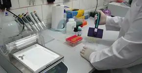 Foto: (Imagem sem texto alternativo disponivel ID [1838994])