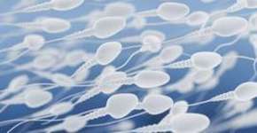 Foto: (Imagem sem texto alternativo disponivel ID [1894992])