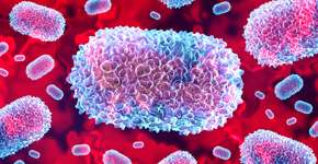 Conheça a variante mais letal da mpox que acende alerta da OMS