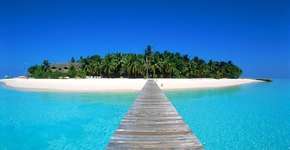 Foto: (Imagem sem texto alternativo disponivel ID [1865267])