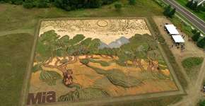 Foto: (Imagem sem texto alternativo disponivel ID [960283])