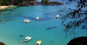 Foto: (Antonio Melcop)