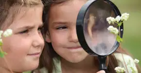 Foto: (Imagem sem texto alternativo disponivel ID [1608529])