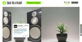 Você acha que conversar com uma planta ajuda no seu crescimento? Participe da experiência via Twitter