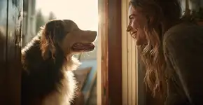 Por que seu cão fica tão feliz quando você chega em casa