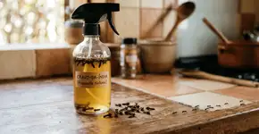 Foto: (Imagem sem texto alternativo disponivel ID [2766598])