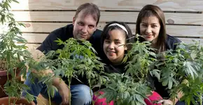 Foto: (Imagem sem texto alternativo disponivel ID [1183350])