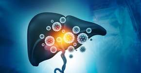 Foto: (Rasi Bhadramani/istock)