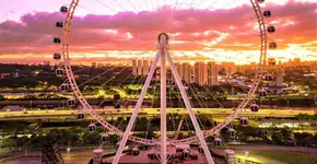 Roda-gigante Roda Rico