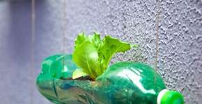 Foto: (Imagem sem texto alternativo disponivel ID [1037092])