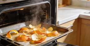 Foto: (Imagem sem texto alternativo disponivel ID [2700044])