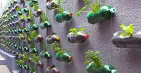 Foto: (Imagem sem texto alternativo disponivel ID [756150])