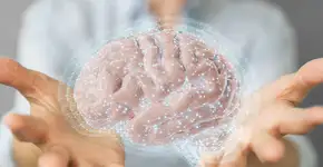 Foto: (Depositphotos/sdecoret)