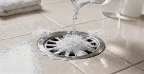 Foto: (Imagem sem texto alternativo disponivel ID [2689515])