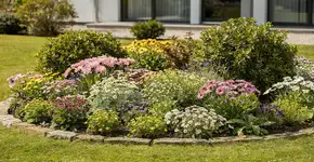 Foto: (Imagem sem texto alternativo disponivel ID [2686295])