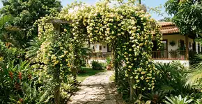 Foto: (Imagem sem texto alternativo disponivel ID [2756948])