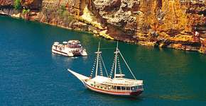 Foto: (Imagem sem texto alternativo disponivel ID [1393936])