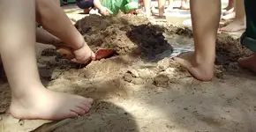 Nas escolas de Novo Hamburgo, em todo pátio tem fruta no pé