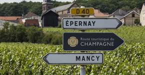 Foto: (Kloeg008/iStock)