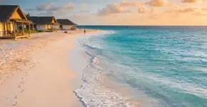 Foto: (Imagem sem texto alternativo disponivel ID [2713006])