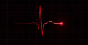 Foto: (MicroStockHub/istock)