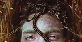 Foto: (Imagem sem texto alternativo disponivel ID [521987])