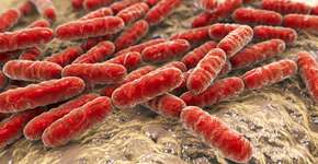 Foto: (katerynakon/Deposit Photos)