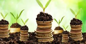 Foto: (Imagem sem texto alternativo disponivel ID [1896790])