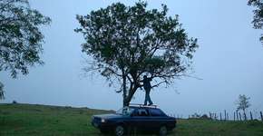 Foto: (Imagem sem texto alternativo disponivel ID [1868726])