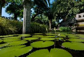 20 passeios criativos para você explorar no Rio de Janeiro