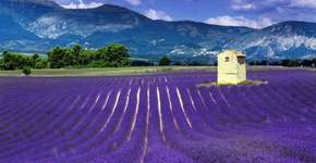 Foto: (Getty Images)