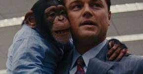 ONG pede a DiCaprio que salve chimpanzé de O lobo de Wall Street
