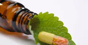 Contraceptivo unissex à base de plantas é estudado por cientistas