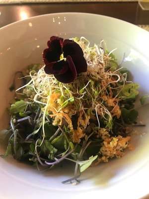 Gastronomia Rituaali 