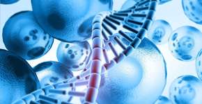 Mercado em alta: medicina regenerativa como protetora da vida ativa e longeva