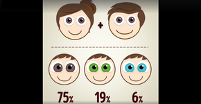 Foto: (Imagem sem texto alternativo disponivel ID [1614455])