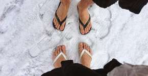 Foto: (Imagem sem texto alternativo disponivel ID [828369])