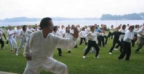 Tai Chi Pai Lin no Parque Buenos Aires