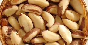 Consumo de castanha-do-pará pode melhorar função cognitiva