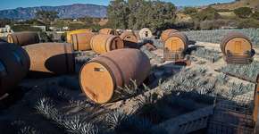 Foto: (Divulgação)