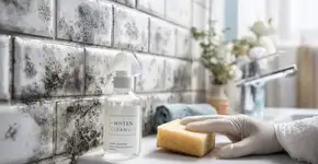 O mofo insiste em voltar porque falta um passo simples depois de limpar o banheiro