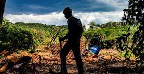 Foto: (Fabio Mendes Teixeira)